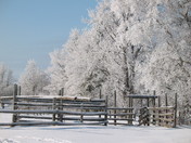 New Brunswick Winter Morning.JPG