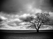 Cold December Day at Lake Ontario