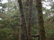 Pacific Rim National Park - Tofino, BC