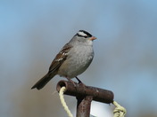 first walk in too long of time 022.JPG