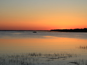 Assateague National Seashore