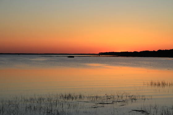 Assateague National Seashore