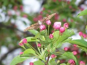Resting- After a Long Flight