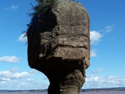 Hopewell Rocks