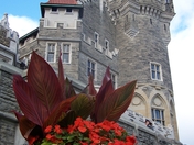 Casa Loma