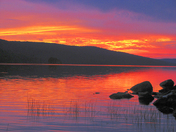 Algonquin Park Sunset.jpg
