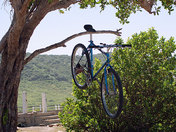 Bicycle Parking on Margarita Islands