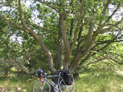 In the Dunes along the Northsea