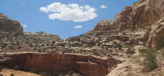 Capital Reef Nationl Park