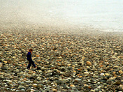 Misty Meadows, Naikoon Provincial Park