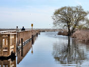 Point Pelee Provincial Park