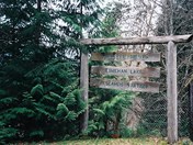 Cowichan Lake -Vancouver Ikland