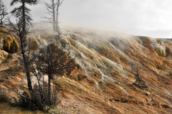 Yellowstone National Park