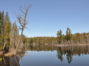 Algonquin Provincial Park