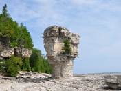 Flowerpot Island