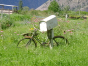 Waiting for mail in Keremeos.