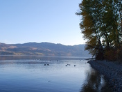 Fall in the Okanagan