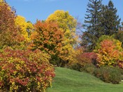 Fall colours in Oro Township Ontario