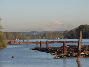 The busy Fraser River