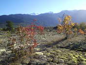 Anhluut'ukwsim Laxmihl Angwinga'asanskwhl Nisga'a Provincial Park