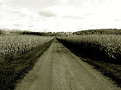 'On the Road to Ottawa'