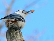 It's mine, all mine.