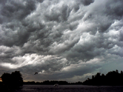 Storm ahead