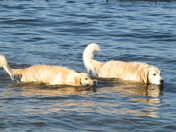 Like Father, Like Daughter!