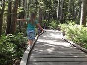 Strathacona Provincial Park/ Mnt.Washington Comox Valley BC