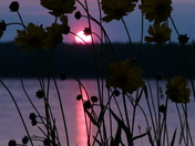 Silver Lake, Silver Water ON