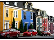 A lovely array of color in old St. John's