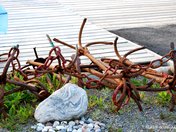Rusty anchors on the wahrf