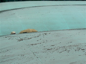 What and Where No. 2