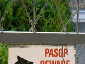 No Translation Needed