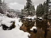 sun filtering thru.jpg