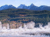 frost on the valley.jpg