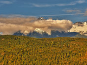 Along the Hurley River Forest Road