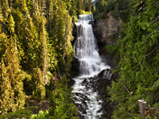 alexander falls near whistler1 small.jpg