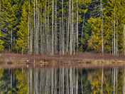 amoung the living 4mb.jpg