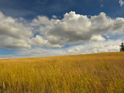 Chilcotin Grasslands