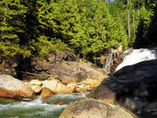 natures blood small.jpg