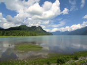 osprey hunting small.jpg