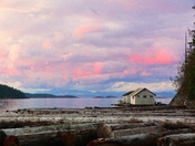 Dani - Pink Sky at Night