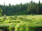 Sundance Creek Provincial Park - Alberta