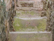 Limestone2011-02-25 12-54-15 - 0029_resize.jpg