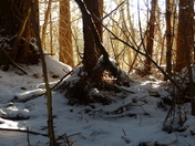 First snow in Komoka