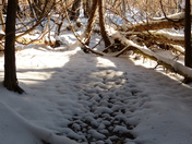 Winter arrives at Komoka Provincial Park