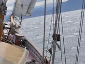 Gwaii Haanas 395.jpg