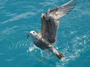 Florida Boundary Road2008 (194).JPG