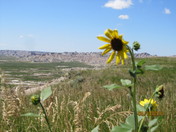 Badlands National Park